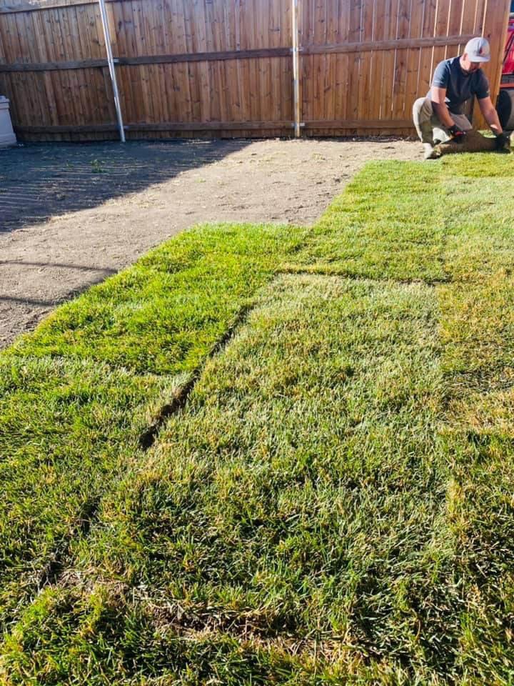 Sod installation project by Green Pro Landscaping in Lethbridge, Alberta
