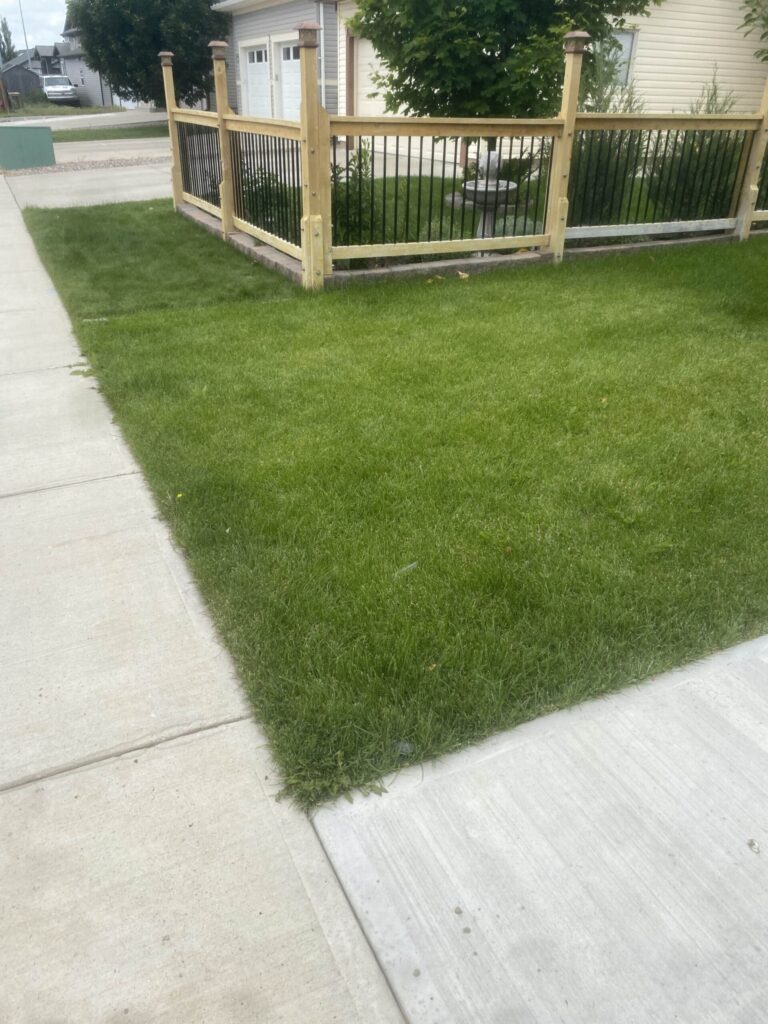 Sod installation project by Green Pro Landscaping in Lethbridge, Alberta