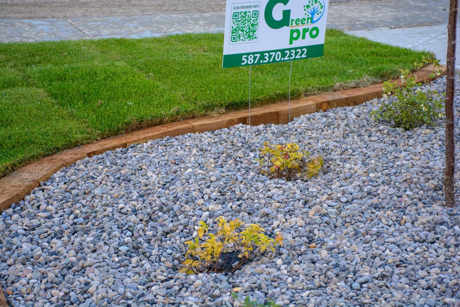 Lawn Care in Lethbridge