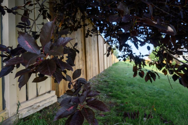 Fence installation project by Green Pro Landscaping in Lethbridge, Alberta